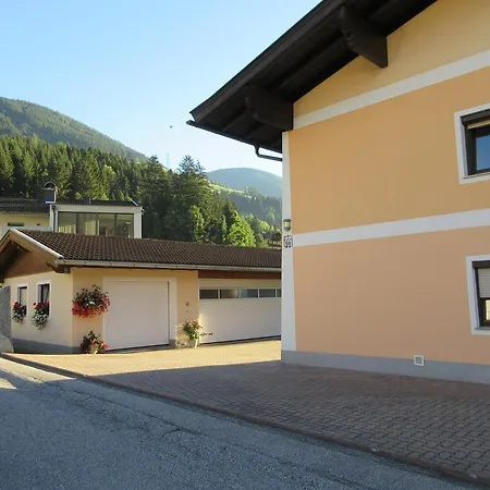 Knapp Wald im Pinzgau