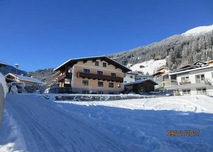 Knapp Wald im Pinzgau