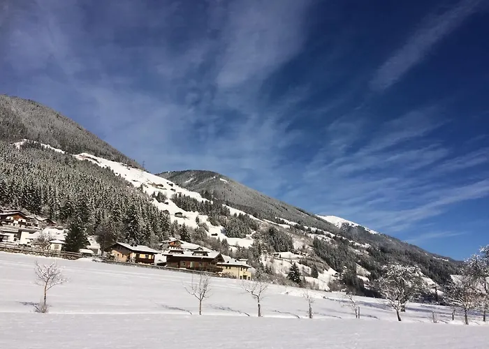 Knapp Lägenhet Wald im Pinzgau
